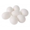 HUEVOS FALSOS PALOMAS