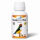 MUDABIRD PLUS FORTEBIRD