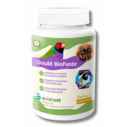 GOULD AIR MUDA AVIANVET ( Formula Ivan Vera )
