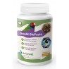 GOULD BIOPASTE AVIANVET ( Formula Ivan Vera )