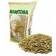 Alpiste Manitoba (envase 5kg reenvasado)