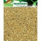 Alpiste Manitoba (envase 5kg reenvasado)
