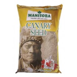 Alpiste Manitoba (envase 5kg reenvasado)