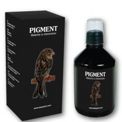 Pigment Easyyem ( Pigmento negro liquido )
