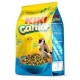 Kiki Cantor Restaurador del Canto