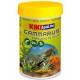 GAMMARUS TORTUGAS KIKI