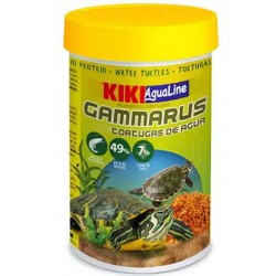GAMMARUS TORTUGAS KIKI