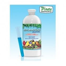 Champu Pineta Azzurro