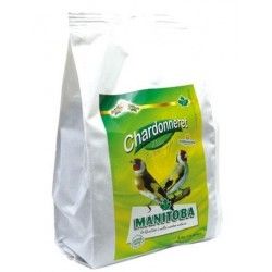 Pasta Jilgueros Chardoneret Manitoba 1 kg.