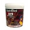 Papilla Nutribird A19 800 gr.