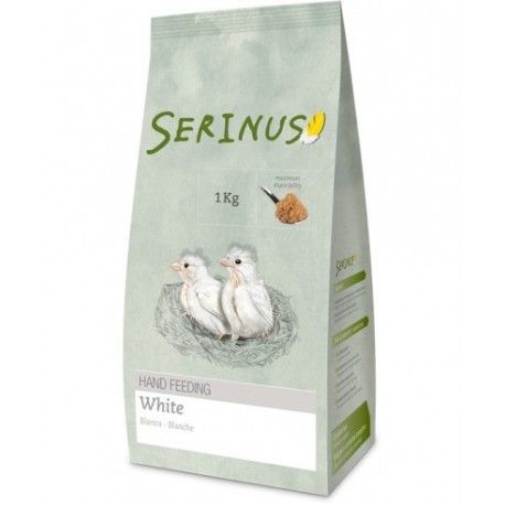Serinus papilla blanca sin dore
