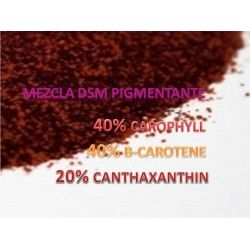 Mezcla DSM 40/40/20