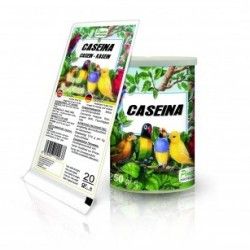 Pineta Caseina Proteina 92%