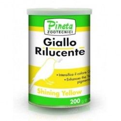 Pineta Amarillo Brillante (giallo rilucente)