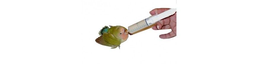 Papilas